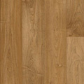 Tarket - Jupiter 113 911