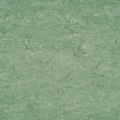 Leaf Green