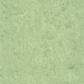 Antique Green