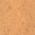 Sahara Beige