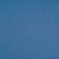 Bluebird