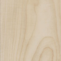 Scala 100 PUR 20073-149