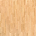 Salsa 188 a 192 Javor Kanadský